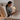 Rituals That Signal ‘Sleep Mode’ to Your Body and Mind